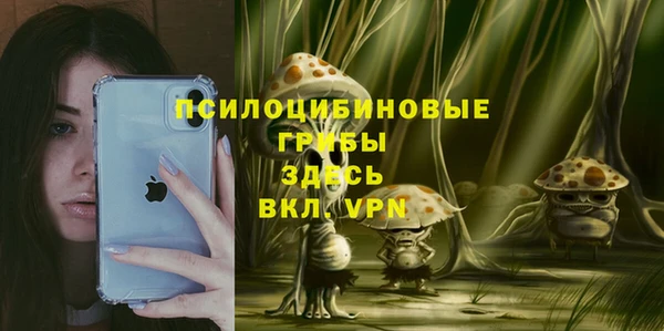 винт Алзамай