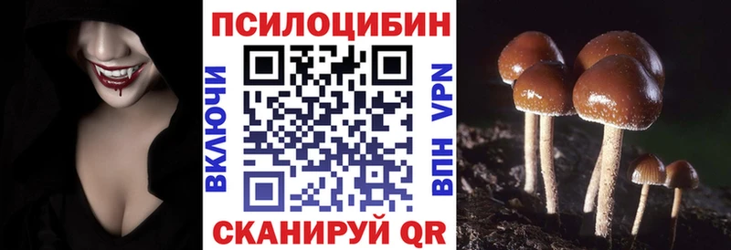 даркнет сайт  hydra ССЫЛКА  Галлюциногенные грибы GOLDEN TEACHER  Апшеронск 